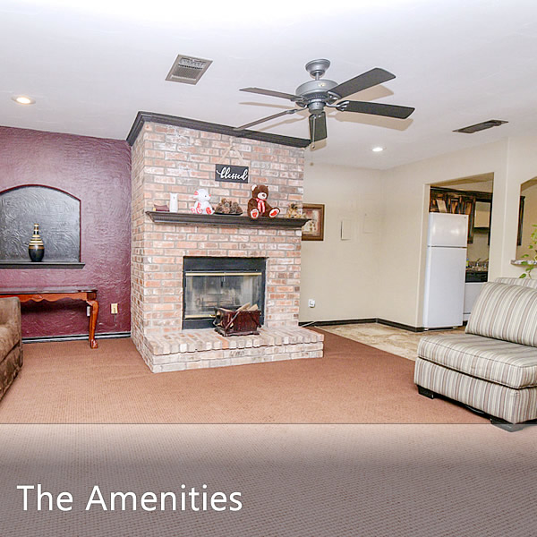 Features and Amenities